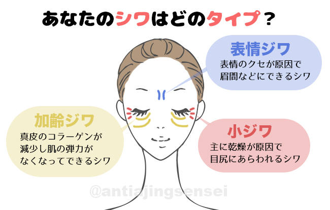 しわ目